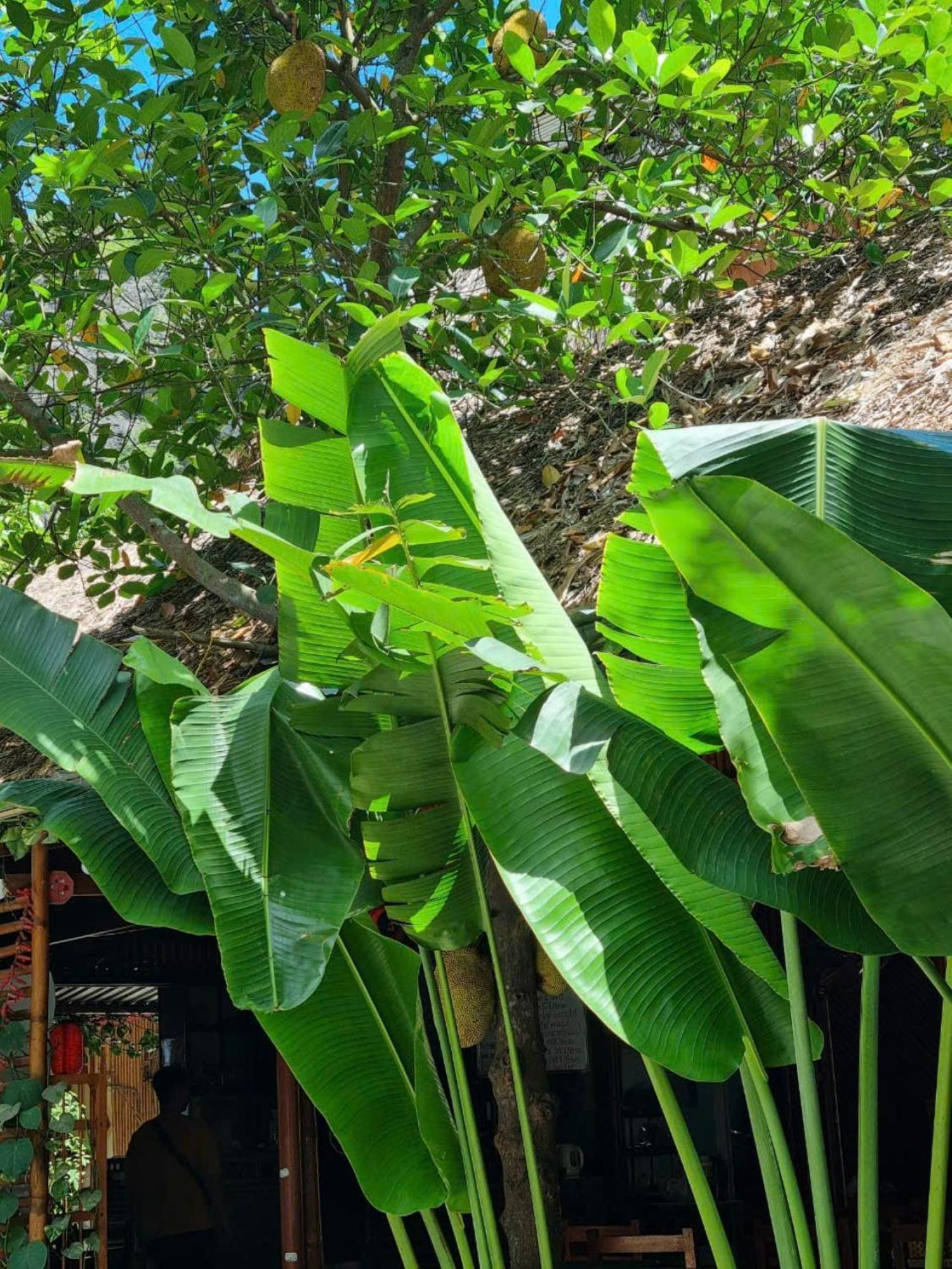 Hoa Lu Eco Homestay Ninh Binh Esterno foto